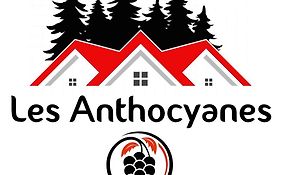 Les Anthocyanes Chambre Foret